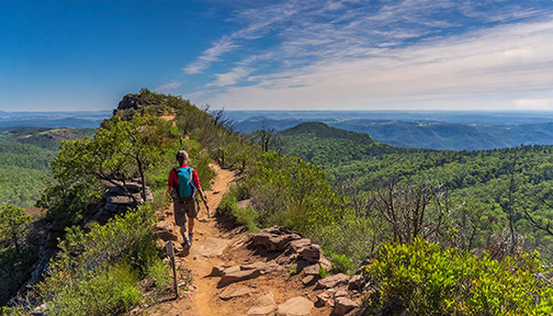 Pinnacle Mountain